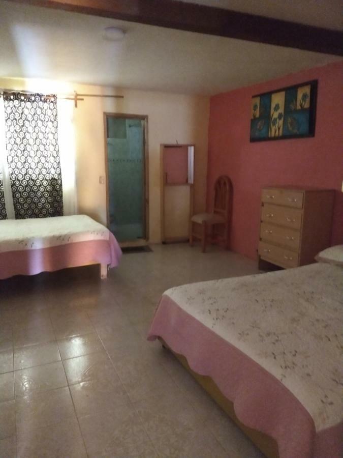 El Paraiso De Zacatlan Departamento Con Jardin, 11 Pax Eksteriør billede